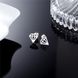 Сережки діамант з нержавіючої медичної сталі ES-101 ES-101 фото 2