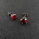 Готичні панк сережки з червоними каменями із медичної сталі ES-051 ES-051 фото 4